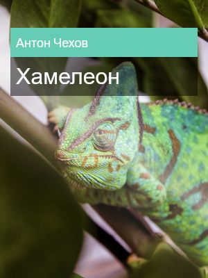 Хамелеон, Антон Чехов