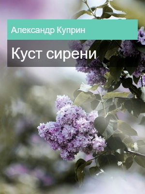 Куст сирени, Александр Куприн