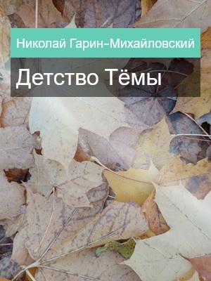 Детство Тёмы, Николай Гарин-Михайловский