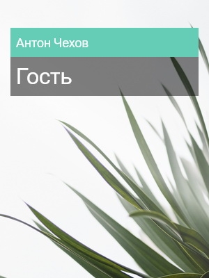 Гость, Антон Чехов