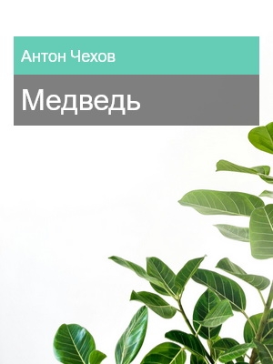 Медведь, Антон Чехов