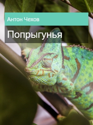 Попрыгунья, Антон Чехов