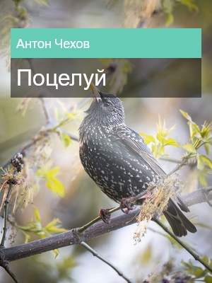 Поцелуй, Антон Чехов