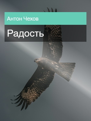 Радость, Антон Чехов