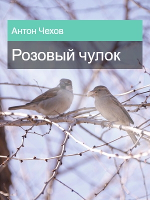 Розовый чулок, Антон Чехов