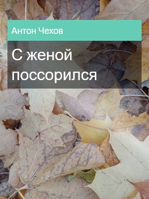 С женой поссорился, Антон Чехов