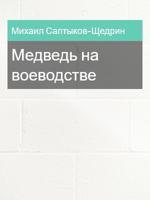 Медведь на воеводстве, Михаил Салтыков-Щедрин