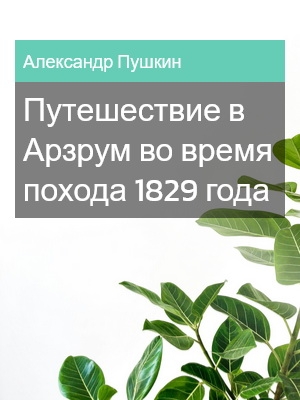 Путешествие в Арзрум во время похода 1829 года, Александр Пушкин
